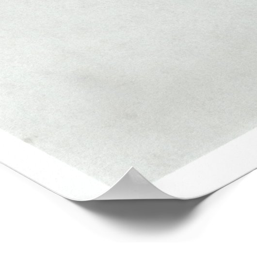 Francois Eugene Vidocq Poster (Hoek)