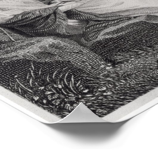 Francois Rene Vicomte de Chateaubriand Poster (Hoek)