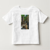 Franconia Notch State Park Kinder Shirts (Voorkant)