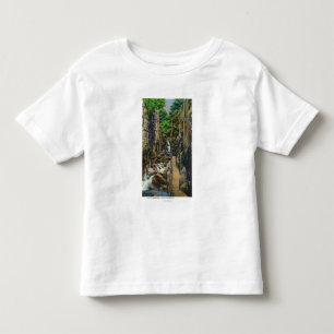Franconia Notch State Park Kinder Shirts