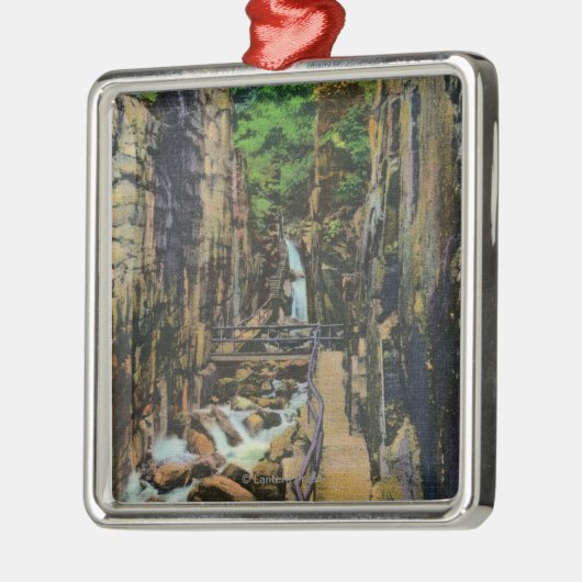 Franconia Notch State Park Metalen Ornament (Links)