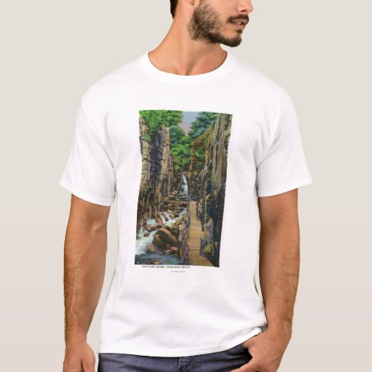 Franconia Notch State Park T-shirt (Voorkant)