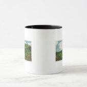 Franconia Notch State Park Uitzicht van Indiaas ho Mok (Midden)