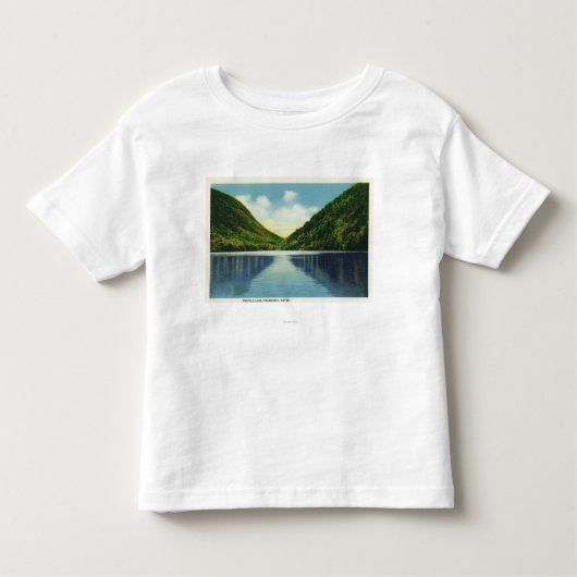 Franconia Notch State Park Uitzicht van Profile La Kinder Shirts (Voorkant)