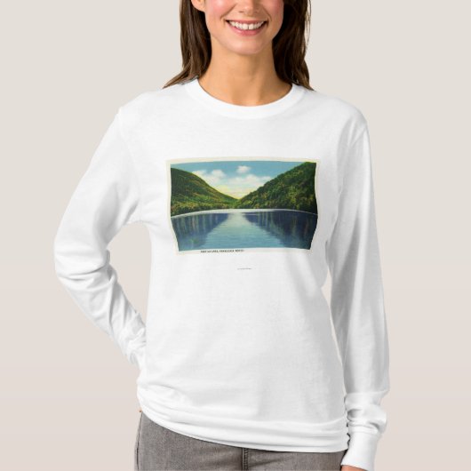 Franconia Notch State Park Uitzicht van Profile La T-shirt (Voorkant)