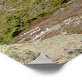 Franconia Ridge Trail, New Hampshire Poster (Hoek)