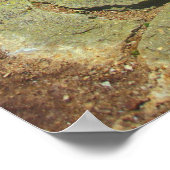 Franconia Ridge Trail White Mountains Poster (Hoek)