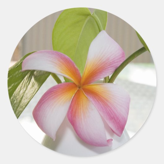 Frangi Panni Ronde Sticker (Voorkant)