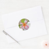 Frangi Panni Ronde Sticker (Envelop)