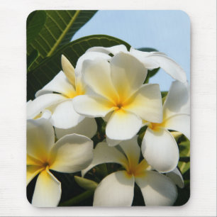 Frangipani Bliss Muismat