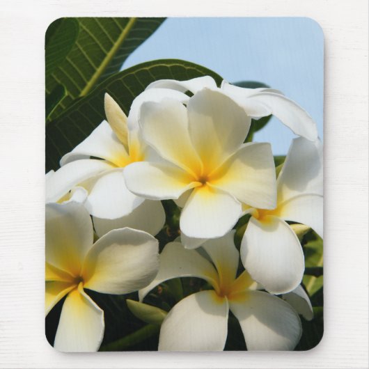 Frangipani Bliss Muismat (Voorkant)