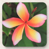 Frangipani-bloem Bier Onderzetter (Voorkant)