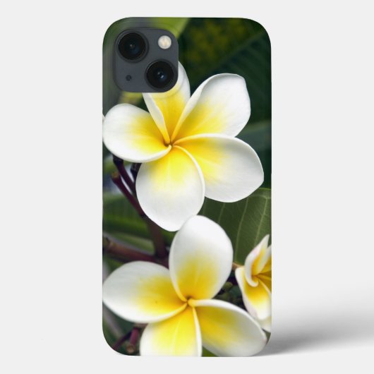 Frangipani bloem Cook Eilanden Case-Mate iPhone Case (Achterkant)