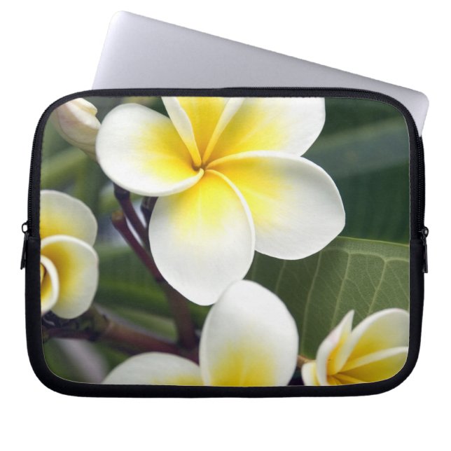 Frangipani bloem Cook Eilanden Laptop Sleeve (Voorkant)