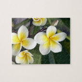 Frangipani bloem Cook Eilanden Legpuzzel (Horizontaal)