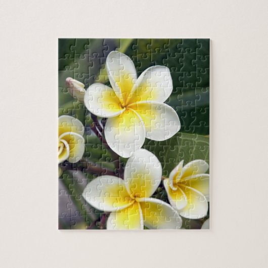 Frangipani bloem Cook Eilanden Legpuzzel (Verticaal)