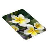 Frangipani bloem Cook Eilanden Magneet (Rechterzijde)