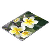 Frangipani bloem Cook Eilanden Notitieboek (Linkerzijde)