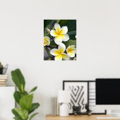 Frangipani bloem Cook Eilanden Poster (Thuiskantoor)