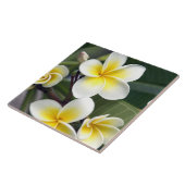 Frangipani bloem Cook Eilanden Tegeltje (Zijkant)