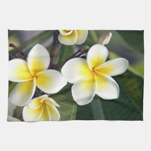 Frangipani bloem Cook Eilanden Theedoek (Horizontaal)