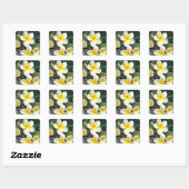 Frangipani bloem Cook Eilanden Vierkante Sticker (Vel)