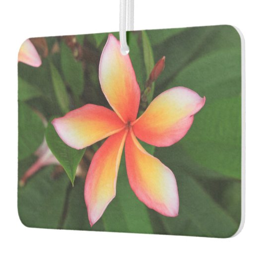 Frangipani-bloem Luchtverfrisser (Links)