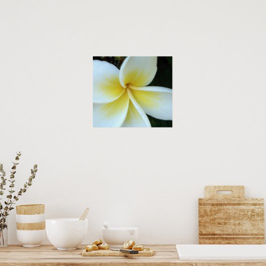 Frangipani-bloem Poster (Keuken)