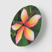 Frangipani-bloem Ronde Klok (Hoek)