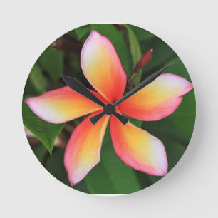 Frangipani-bloem Ronde Klok