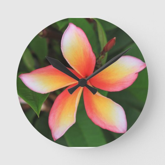 Frangipani-bloem Ronde Klok (Voorkant)