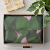 Frangipani-bloem Tissuepapier (Geschenk)
