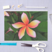 Frangipani-bloem Tissuepapier (Craft)