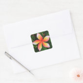 Frangipani-bloem Vierkante Sticker (Envelop)
