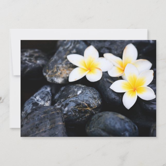 Frangipani-bloemen (Voorkant)