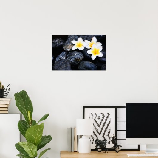 Frangipani-bloemen Poster (Thuiskantoor)