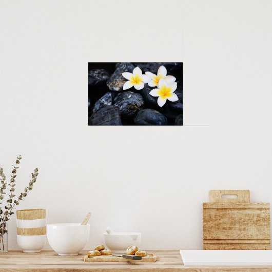 Frangipani-bloemen Poster (Keuken)