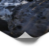 Frangipani-bloemen Poster (Hoek)