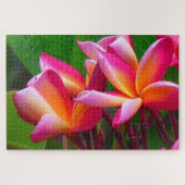 frangipani bloemen puzzel legpuzzel (Horizontaal)
