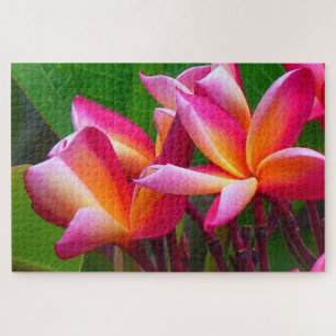 frangipani bloemen puzzel legpuzzel
