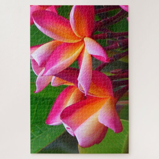 frangipani bloemen puzzel legpuzzel (Verticaal)