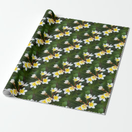 Frangipani Blossom Cluster Artistieke stijl Cadeaupapier