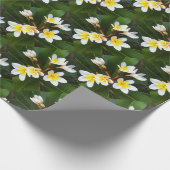 Frangipani Blossom Cluster Artistieke stijl Cadeaupapier (Hoek)