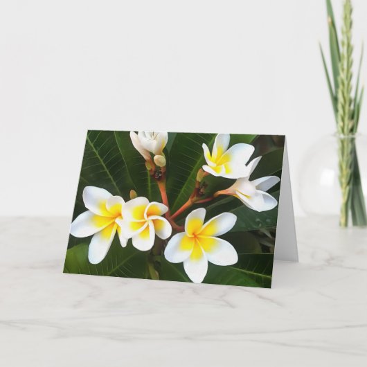 Frangipani Blossom Cluster Artistieke stijl Kaart (Voorkant)