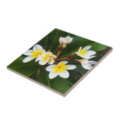 Frangipani Blossom Cluster Artistieke stijl Tegeltje (Zijkant)