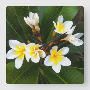 Frangipani Blossom Cluster Artistieke stijl Vierkante Klok