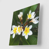 Frangipani Blossom Cluster Artistieke stijl Vierkante Klok (Hoek)