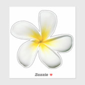 Frangipani Blossom Sticker (Vel)