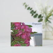 Frangipani Blossom van de baai Briefkaart (Staand voorkant)