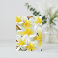 Frangipani Boeket, Ansichtkaart